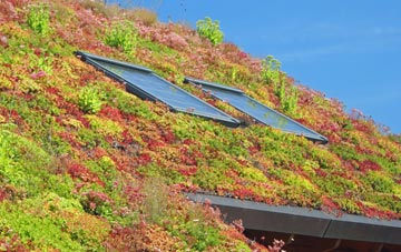 Burgh Heath living roof systems