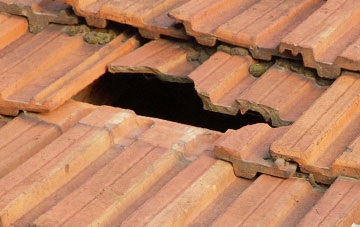roof repair Burgh Heath, Surrey